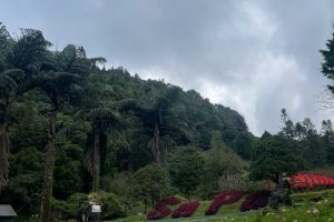 Luxury Ninh Binh Tour from Hanoi Sapa 6